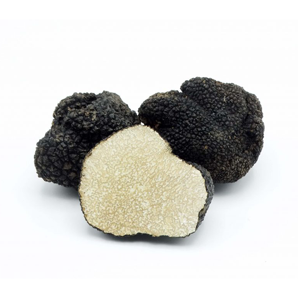 Trufe negre de vară / Tuber aestivum vitt.