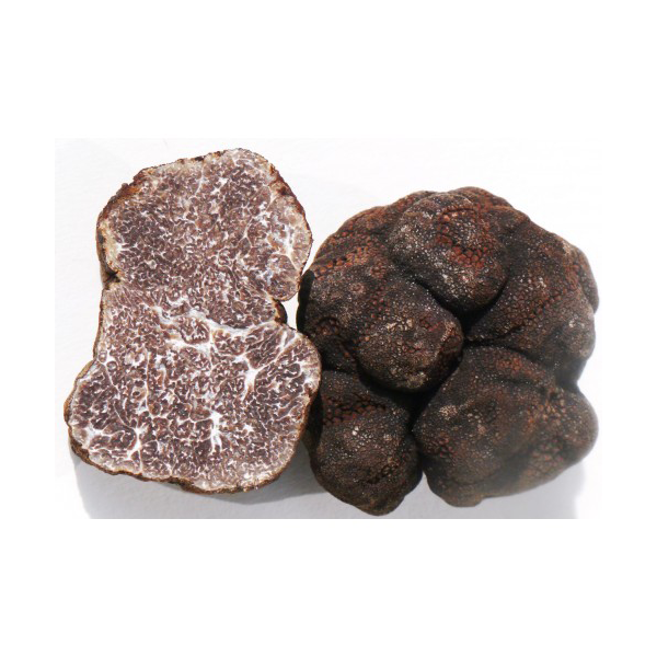 Black truffles (tuber macrosporum)