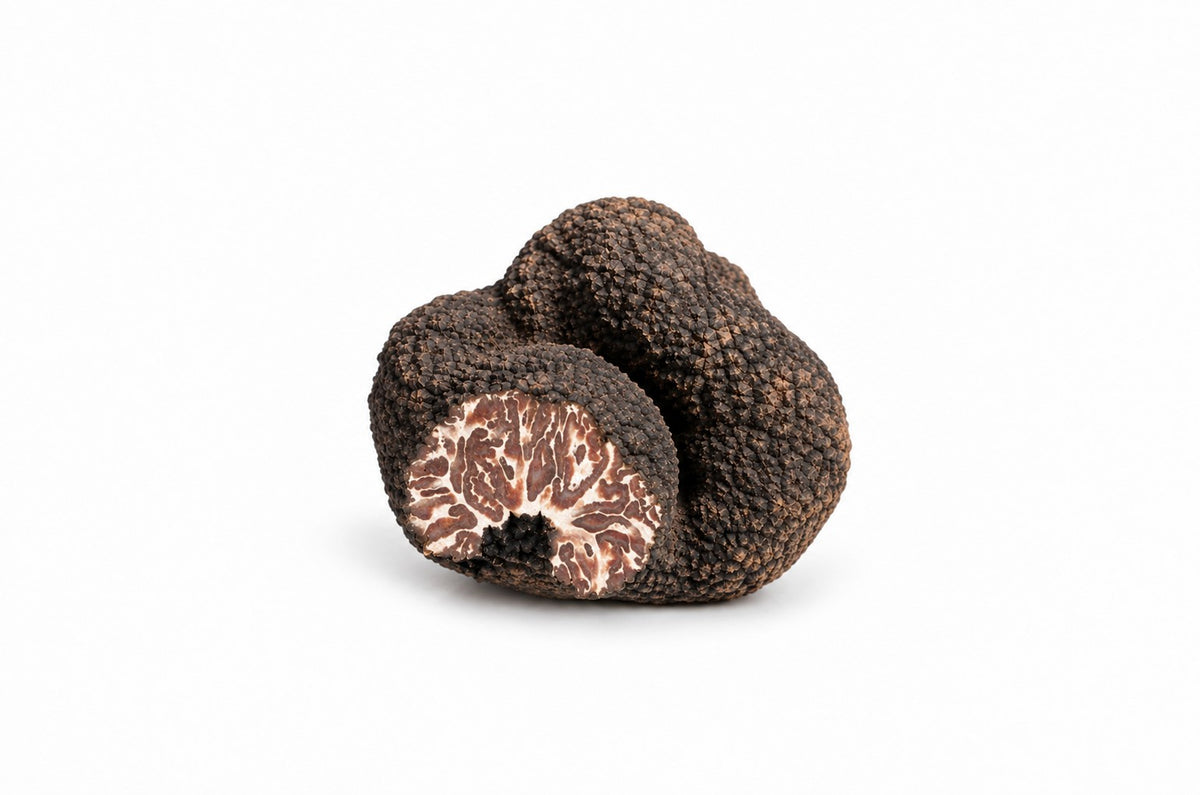 Trufe negre de toamnă / Tuber mesentericum (Tartufo di Bagnoli)